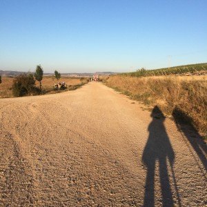 IMG_3713